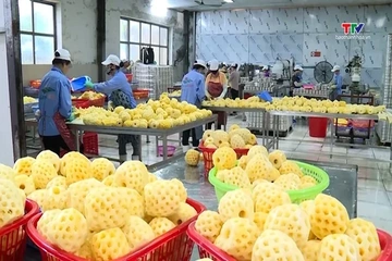 Tổng giá trị xuất khẩu tháng 8/2026 tăng 15,7% so với cùng kỳ