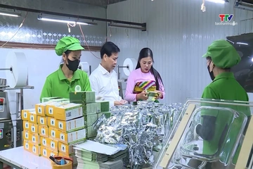 Thanh Hóa triển khai đề án nâng cao hiệu quả hoạt động hợp tác xã