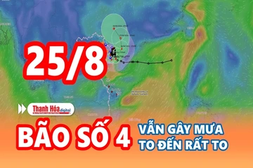 Cảnh báo thiên tai và thời tiết ngày 25/8: Bão số 4 vẫn gây mưa to và dông
