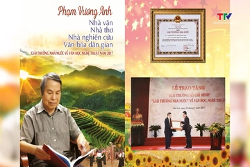 Văn hóa – Nghệ thuật ngày 26/8/2026: Dưới bóng cây chu đồng