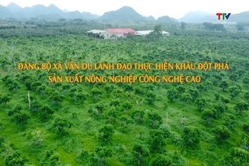 Đảng trong cuộc sống ngày 29/8/2026