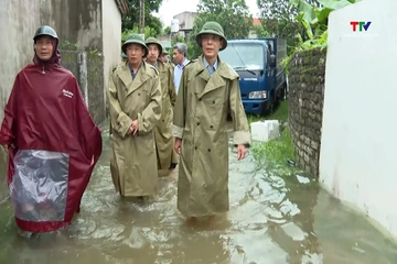 Phó Chủ tịch UBND tỉnh Đầu Thanh Tùng kiểm tra công tác ứng phó với mưa bão