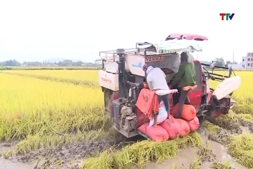 Phòng chống và khắc phục mưa bão trong sản xuất nông nghiệp