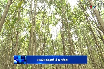 Thông tin đối ngoại ngày 27/8/2026