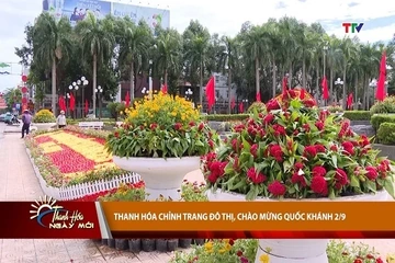 Thanh Hóa ngày mới 31/8/2026