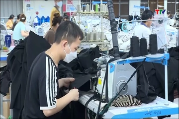 Xuất khẩu dệt may đạt hơn 26 tỷ USD trong 8 tháng năm 2026