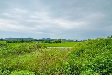 Quy định mới về xây dựng công trình biên giới