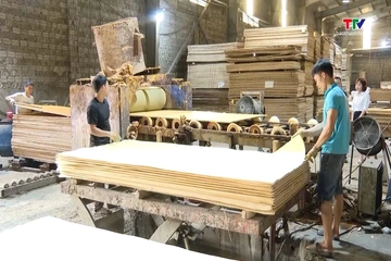 Thu ngân sách nhà nước 8 tháng ước đạt 80% dự toán