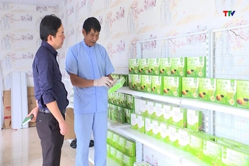 Thương mại điện tử bước vào cuộc đại thanh lọc
