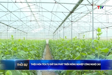 Bản tin Thời sự 9h ngày 07/9/2026
