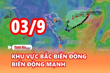 Cảnh báo thiên tai và thời tiết ngày 3/9/2026