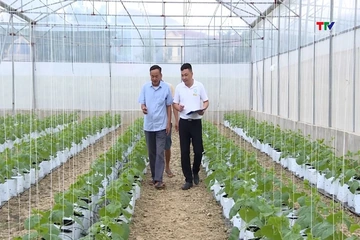 Thiệu Hóa tích tụ đất đai phát triển nghiệp công nghệ cao