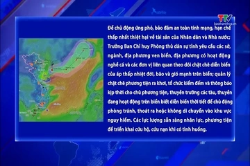 Chủ động ứng phó với áp thấp nhiệt đới và gió mạnh trên biển