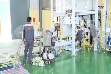 Xuất khẩu gạo cả nước đạt gần 3 tỷ USD trong 8 tháng đầu năm