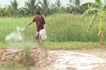 Quản lý ao nuôi mùa mưa, bão