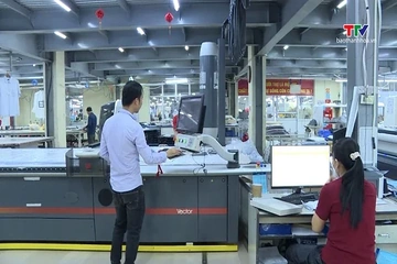 Gần 206.000 doanh nghiệp gia nhập và quay lại thị trường trong 8 tháng