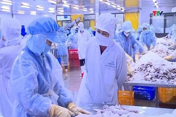 Thanh Hóa trong nhóm dẫn đầu thực thi hiệu quả các FTA để mở rộng xuất khẩu