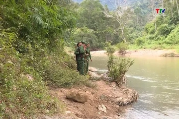 Tăng cường bảo vệ rừng khu vực biên giới