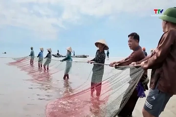 Chạm nhịp sống làng chài ven biển Hải Tiến