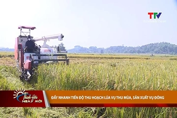 Thanh Hóa ngày mới 9/9/2026