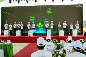 Trồng gần 5.000 cây xanh trước thềm khai trương AEON MALL Thanh Hóa