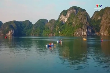 Việt Nam đón gần 2 triệu khách quốc tế trong tháng 8/2026