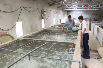 Hội Nông dân phối hợp với doanh nghiệp hỗ trợ, liên kết sản xuất nông nghiệp