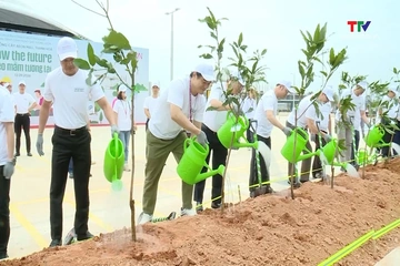 Trồng gần 5.000 cây xanh trước thềm khai trương AEON MALL Thanh Hóa