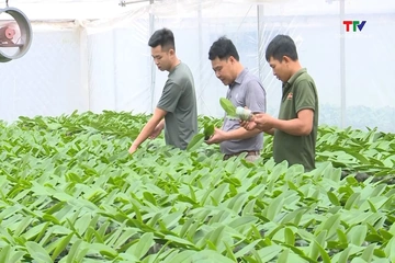 “Nghị quyết 20 - Luồng sinh khí mới” cho kinh tế tập thể xứ Thanh