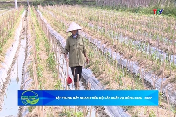 Bản tin Nông nghiệp – Nông thôn ngày 12/9/2026