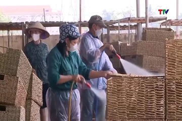 Thanh Hóa thực thi hiệu quả các FTA để mở rộng xuất khẩu