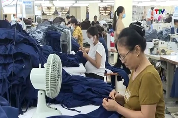 Thanh Hóa thực thi hiệu quả các FTA để mở rộng xuất khẩu