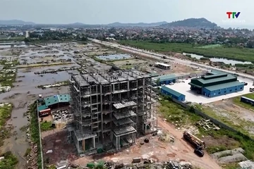 Thông tin dự án dừng thực hiện và danh sách xã phường giải ngân tiền sử dụng đất thấp