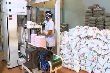Nâng giá trị nông sản từ công nghệ