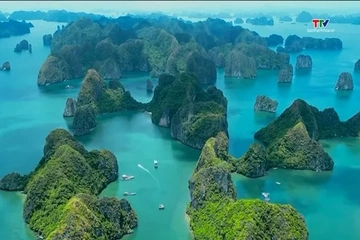 11 điểm đến đẹp nhất Việt Nam năm 2026