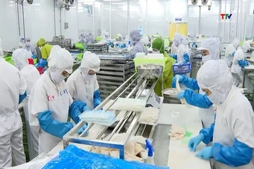 Xuất khẩu thủy sản tiếp tục tăng trưởng nhưng đối mặt với nhiều thách thức