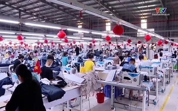 Phạt đến 75 triệu đồng đối với hành vi lôi kéo dụ dỗ, quảng cáo gian dối để lừa gạt người lao động