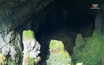 Đề nghị tạm dừng đưa khách vào Hang Dơi do nguy cơ đất đá rơi