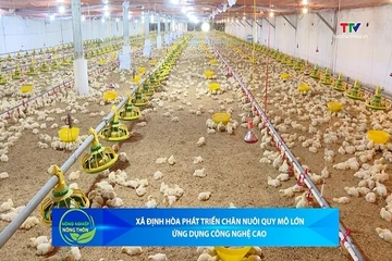 Bản tin Nông nghiệp – Nông thôn ngày 09/9/2026