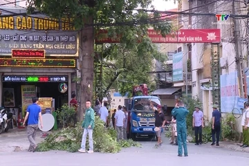 Phường Hạc Thành đồng loạt ra quân thiết lập trật tự đô thị, vệ sinh môi trường