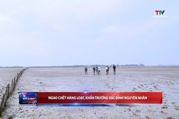 Bản tin Thời sự 18h ngày 12/9/2026