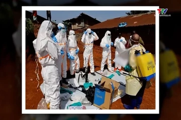Gần 30% nhân viên y tế nhiễm bệnh Ebola bị tử vong tại Congo
