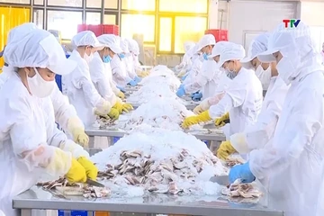 Thanh Hóa nằm trong nhóm dẫn đầu thực thi hiệu quả các FTA để mở rộng xuất khẩu