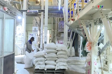Giá gạo xuất khẩu ổn định