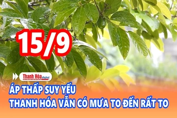 Cảnh báo thiên tai và thời tiết ngày 15/9/2026: Áp thấp suy yếu, Thanh Hóa vẫn có mưa to đến rất to