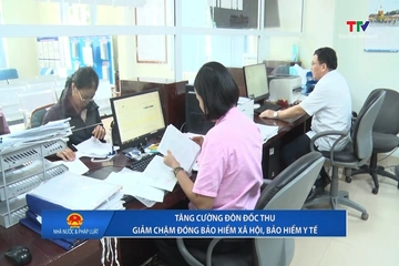 Nhà nước và Pháp luật ngày 17/9/2026