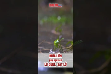 Mưa lớn gây nguy cơ lũ quét, sạt lở