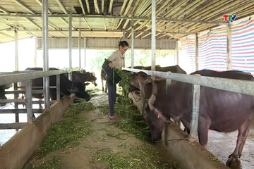 Đồng hành cùng phụ nữ phát triển kinh tế, giảm nghèo bền vững