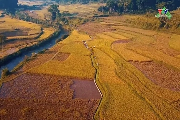 Giải chạy Marathon băng rừng Việt Nam - Pù Luông sẽ diễn ra vào tháng 10
