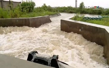 Chủ động tiêu úng, bảo vệ sản xuất trước mưa lớn